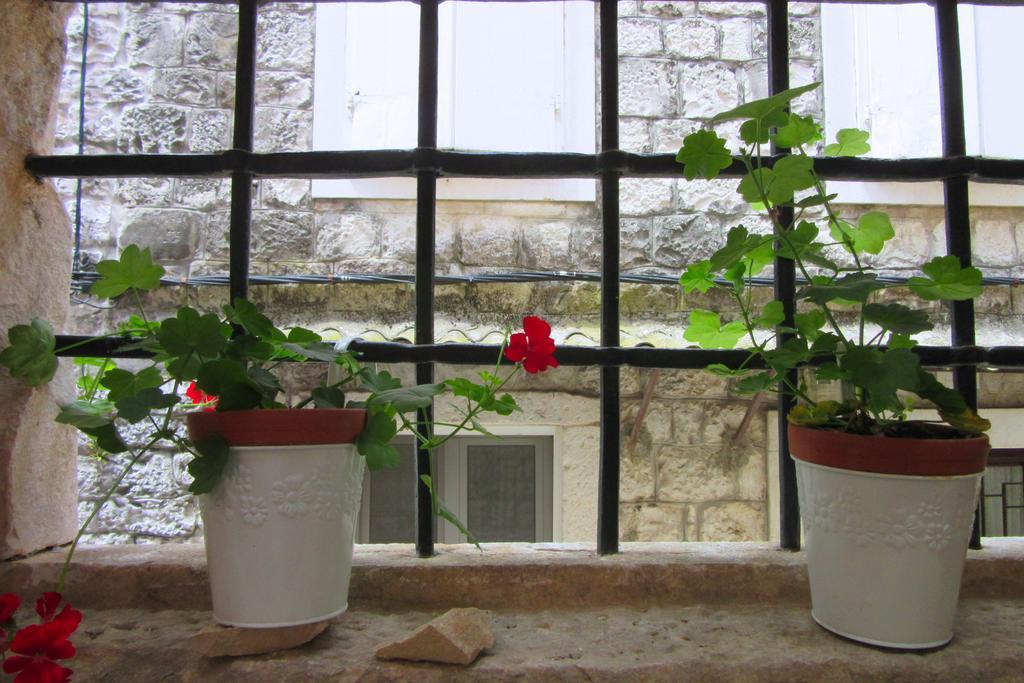 טרוגיר Dobra Apartments מראה חיצוני תמונה