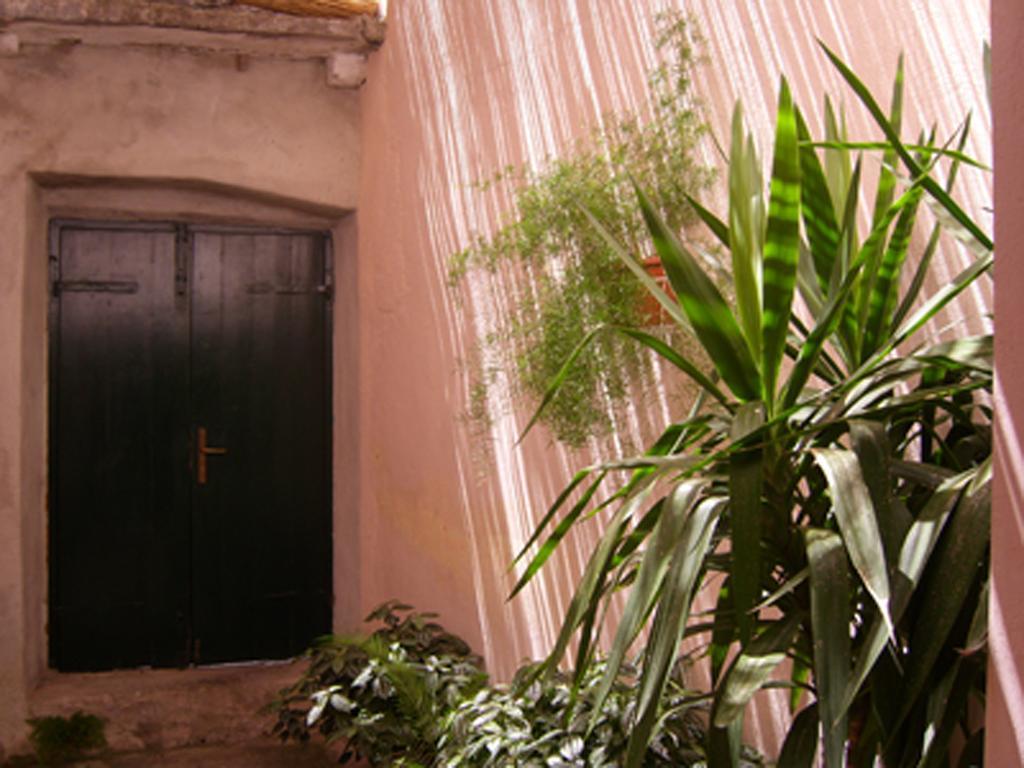 טרוגיר Dobra Apartments מראה חיצוני תמונה